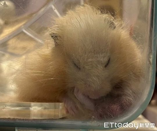 ▲（圖／網友IG@ea31ng提供，請勿隨意翻拍，以免侵權。）