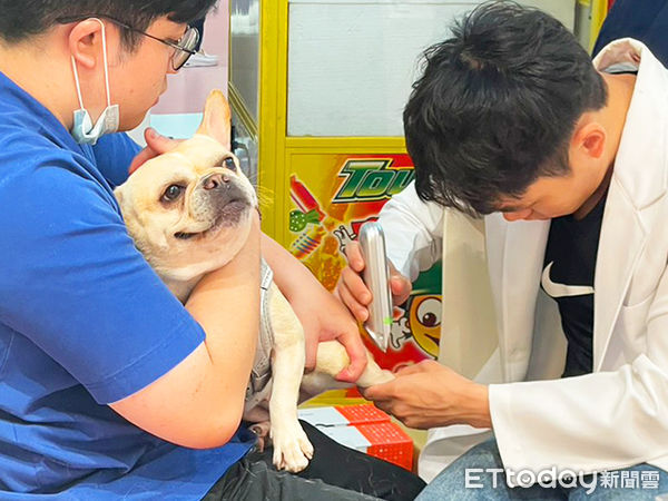 免費寵物健檢。（圖／慈愛動物醫院提供）