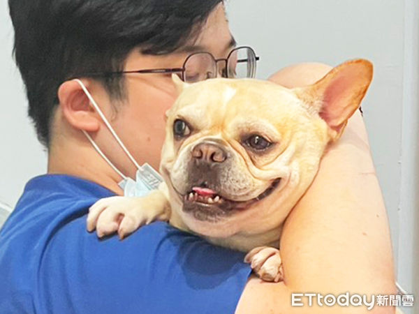 免費寵物健檢。（圖／慈愛動物醫院提供）
