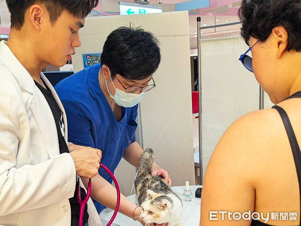 免費寵物健檢。（圖／慈愛動物醫院提供）
