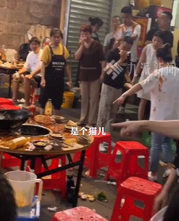 ▲▼天降貓咪掉入麻辣火鍋！9名顧客被燙傷。（圖／翻攝九派新聞）