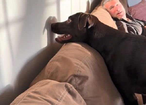 ▲黑汪發現「影子好朋友」鼻頂牆壁邀玩！　見他不理滿臉困惑。（圖／翻攝自TikTok／@nikigilbert79）