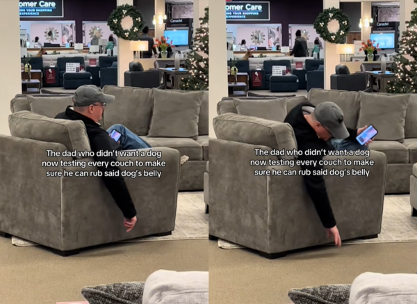 叔叔買沙發行為怪異。（圖／翻攝自Tiktok@astraightgeeksesh）