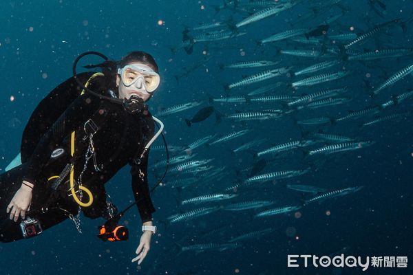 ▲潛水錄影遭「大膽鯛民」亂入　瘋狂搶鏡完美擋住每一幕。（圖／半島海人提供，請勿隨意翻拍，以免侵權。）