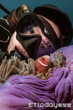 ▲潛水錄影遭「大膽鯛民」亂入　瘋狂搶鏡完美擋住每一幕。（圖／半島海人提供，請勿隨意翻拍，以免侵權。）