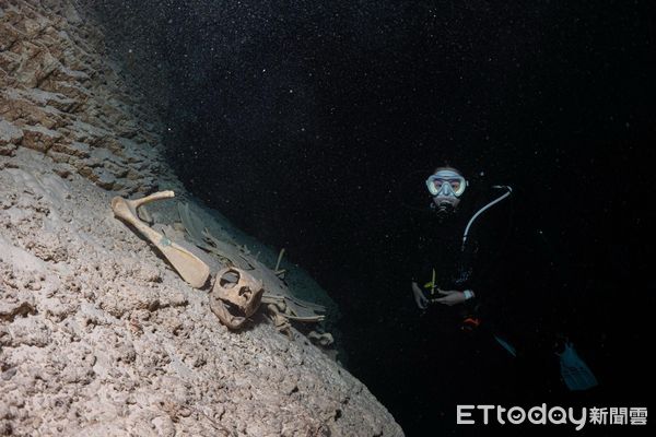 ▲潛水錄影遭「大膽鯛民」亂入　瘋狂搶鏡完美擋住每一幕。（圖／半島海人提供，請勿隨意翻拍，以免侵權。）