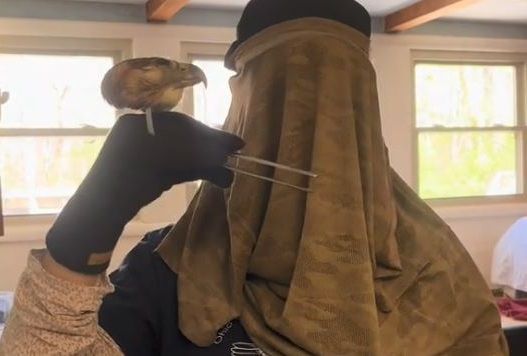 ▲保育員用「無眼老鷹頭」餵紅尾鵟寶寶　避免牠們把人類當媽。（圖／翻攝自TikTok／@glenhelenraptors）