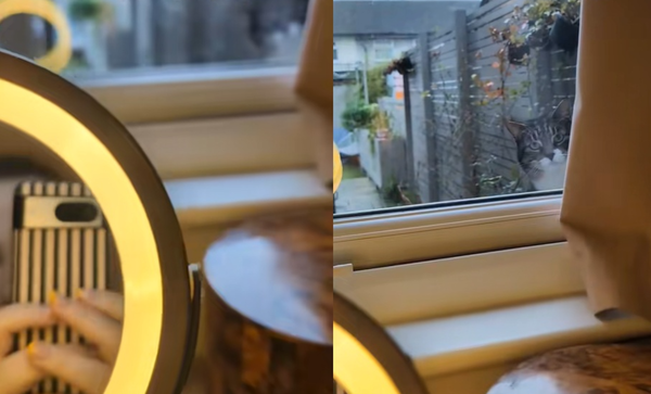 化妝一半窗外突出現「毛毛偷窺狂」　女傻眼：每天緊盯著我。（圖／翻攝自TikTok／pepperthenaughtytabby）
