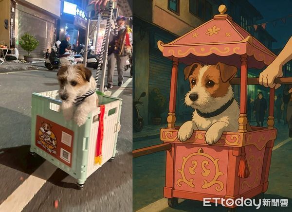 傑克羅素犬橘子專屬轎子繞境。（圖／飼主@orange113323提供）