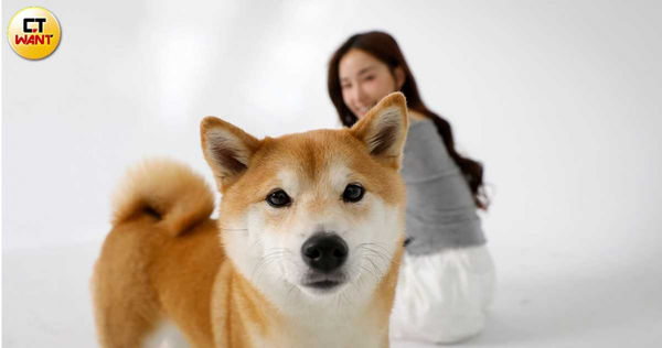 早早就幫未來毛孩取名的Nia，選狗的標準是看誰對「逗比」有反應。（圖／侯世駿攝）