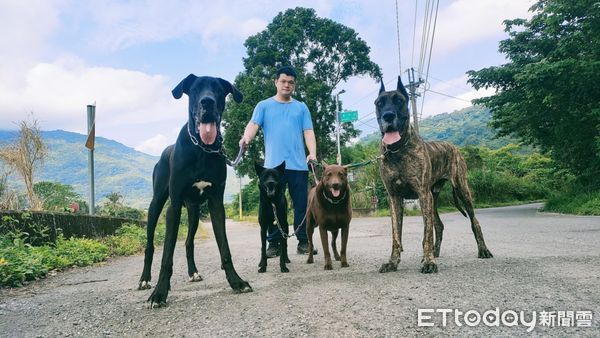 ▲「55kg癱瘓高山犬」搭輪椅享受狗生　草地慢步親近大自然。（圖／有點毛毛的／里歐媽媽）