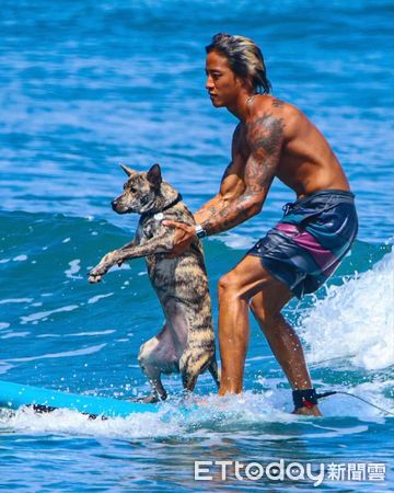 ▲虎班汪穿「塑膠袋雨衣」無奈臉　戴「同牌浴帽」出門上廁所。（圖／Threads@k.w.1225提供，請勿隨意翻拍，以免侵權。）