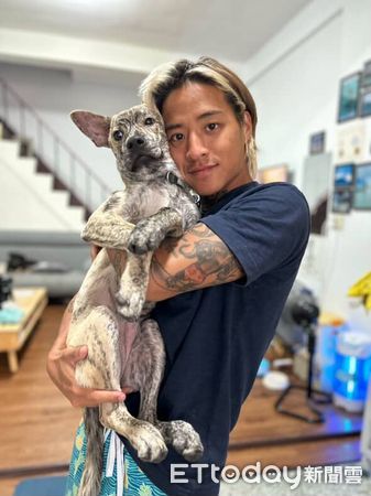 ▲虎班汪穿「塑膠袋雨衣」無奈臉　戴「同牌浴帽」出門上廁所。（圖／Threads@k.w.1225提供，請勿隨意翻拍，以免侵權。）