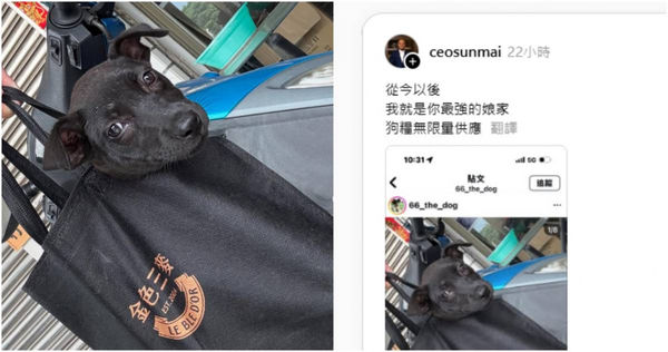 。（圖／翻攝IG／Threads／66_the_dog、ceosunmai）
