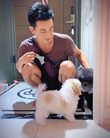 傅子純非常疼愛兩隻寶貝狗狗，在家時一定與牠們玩樂互動。（翻攝自傅子純IG）