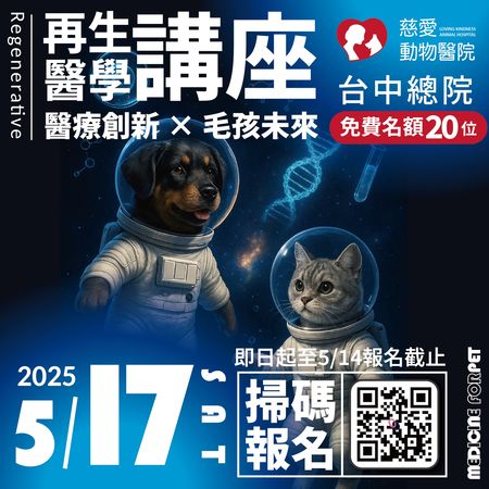 花花使用再生醫學恢復活力。（圖／慈愛動物醫院提供）