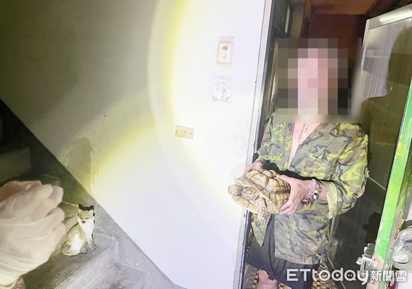 ▲平鎮警方調閱監視器查出柯姓男子涉嫌偷走蘇卡達象龜，循線至其住處查詢。（圖／記者沈繼昌翻攝）