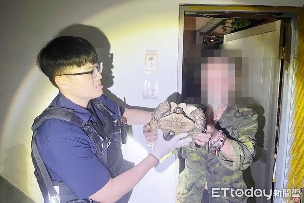 ▲平鎮警方調閱監視器查出柯姓男子涉嫌偷走蘇卡達象龜，柯男繳出偷來的。蘇卡達象龜給員警。（圖／記者沈繼昌翻攝）