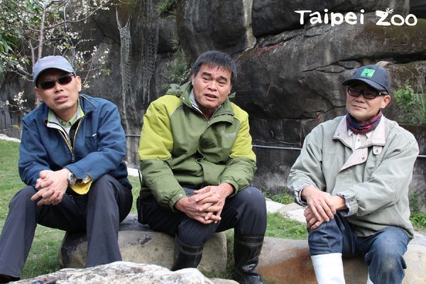 金剛猩猩寶寶。（圖／台北市立動物園提供／資料照片）