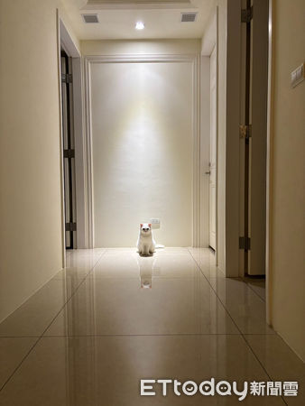 ▲鏟屎官太晚回家　開門見「毛茸大Boss」堵路滿臉殺氣。（圖／Threads@zhangkaiwen提供，請勿隨意翻拍，以免侵權。）