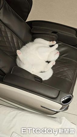 ▲鏟屎官太晚回家　開門見「毛茸大Boss」堵路滿臉殺氣。（圖／Threads@zhangkaiwen提供，請勿隨意翻拍，以免侵權。）