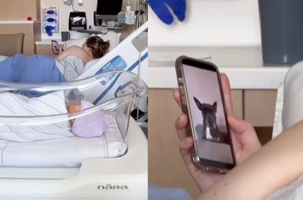 女剛生下兒子手機卻狂看毛孩照片　網感動：牠才是第一個寶寶。（圖／翻攝自Instagram／dontforget2move）