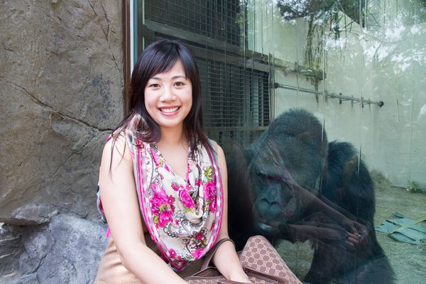 金剛猩猩寶寶。（圖／翻攝自吳欣盈臉書）