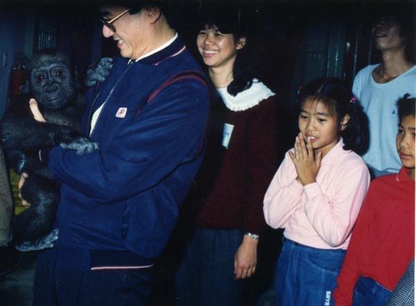 金剛猩猩寶寶。（圖／翻攝自吳欣盈臉書）