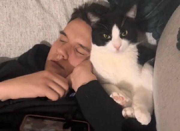 ▲被收邊浪貓「忘記不用搶食」　緊咬麵包不放奴才靠近還遭踹。（圖／翻攝自TikTok／@carlykfuller）