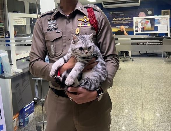 ▲泰國警局逮捕「喵喵囚犯」　被控襲警留爪印保釋毫無悔意。（圖／翻攝自Facebook／@Da Parinda Pakeesuk）