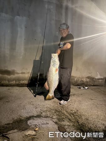 ▲▼高雄後勁溪「巨大海鱸」出沒　他釣起110公分、30斤重金目鱸驚呆。（圖／謝宇豪提供）