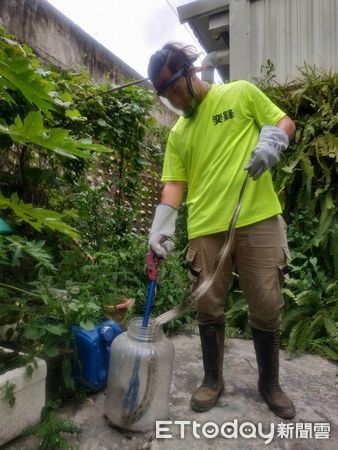 d8228590 ▲彰化縣消防局統計今年1月-4月抓801條蛇。(圖/消防局提供)