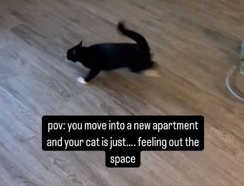 ▲。（圖／翻攝自Instagram／@cesar_and_ana）