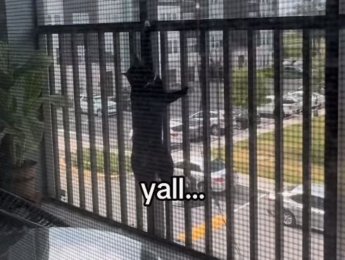 ▲。（圖／翻攝自Instagram／@cesar_and_ana）