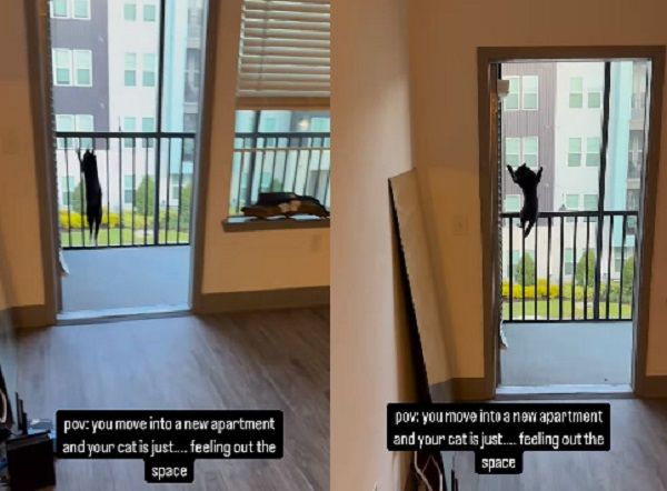 ▲。（圖／翻攝自Instagram／@cesar_and_ana）