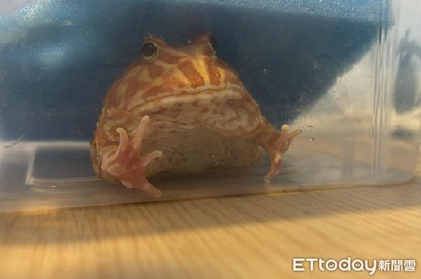 ▲（圖／Threads@toby___shu提供）