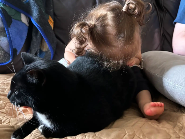 ▲外國視障寶寶擁有最親密的「導盲貓」　形影不離：我會陪著你長大。（圖／翻攝自the dodo／Alexis Wiggins）