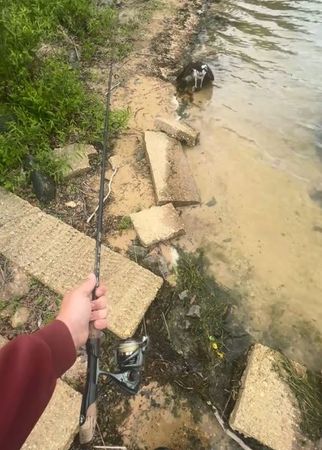 ▲。（圖／翻攝自TikTok／@mullyboyz）