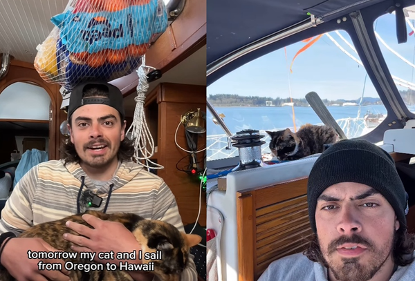 不想再當朝九晚五上班族！29歲男辭掉工作　帶寵物貓環遊世界。（圖／翻攝自Instagram／sailing_with_phoenix）
