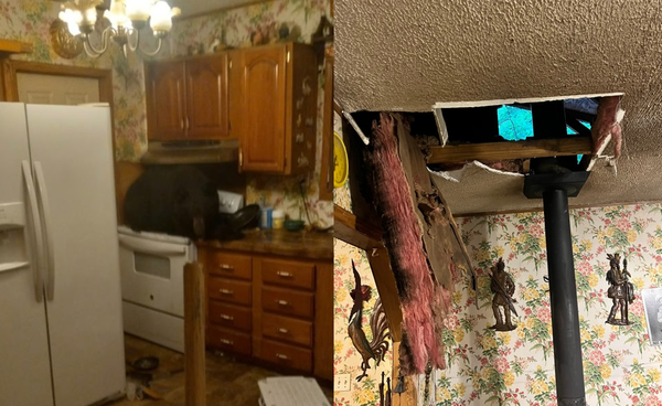 凌晨5時天花板突然破洞　屋主目睹「天降巨型黑熊」坐爐台嚇。（圖／翻攝自Kentucky Fish and Wildlife Law Enforcement）