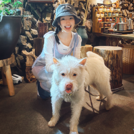 d8238136 ▲女星毛曉彤飼養的下司犬。(圖/翻攝自微博)