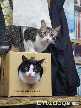 ▲。（圖／Instagram／＠yaoo_metalcraft_）