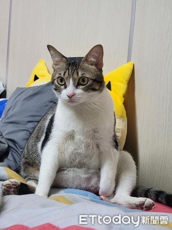 ▲。（圖／Instagram／＠yaoo_metalcraft_）