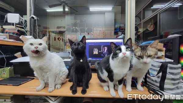 ▲。（圖／Instagram／＠yaoo_metalcraft_）