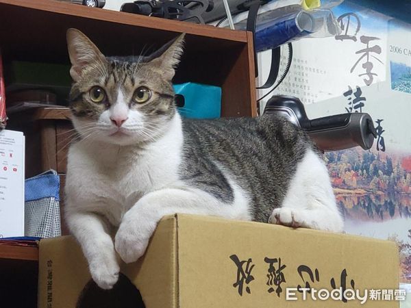 ▲。（圖／Instagram／＠yaoo_metalcraft_）