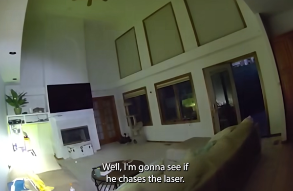 警員跟山貓玩雷射筆。（圖／翻攝自Jefferson County Sheriff`s Office臉書）