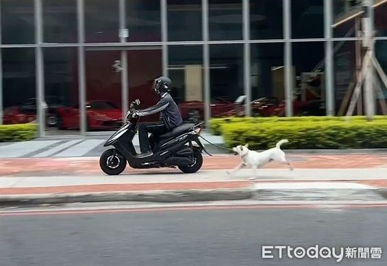 d8242138-1 ▲。(圖/Threads@zoeadpps提供,請勿隨意翻拍,以免侵權。)