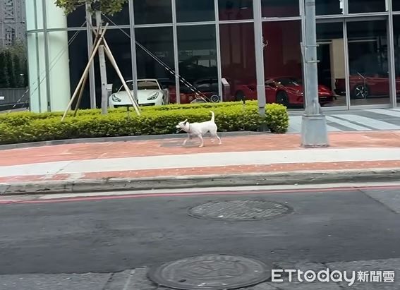 d8242140-1 ▲。(圖/Threads@zoeadpps提供,請勿隨意翻拍,以免侵權。)