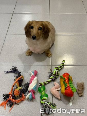 d8242608-1 ▲。(圖/Threads@@niou__________)