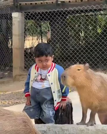 參觀結束後，小奧拓竟然背叛「彈跳豬」還開心地挑選了一隻水豚作為紀念品。（翻攝自ขาหมู แอนด์เดอะแก๊ง）